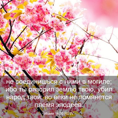 Picture 03 - Исаия 14:20 RUSV - не соединишься с ними в - Bible Verse Picture
