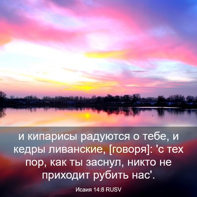 Picture 03 - Исаия 14:8 RUSV - и кипарисы радуются о тебе, - Bible Verse Picture