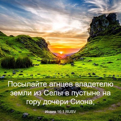 Picture 03 - Исаия 16:1 RUSV - Посылайте агнцев - Bible Verse Picture
