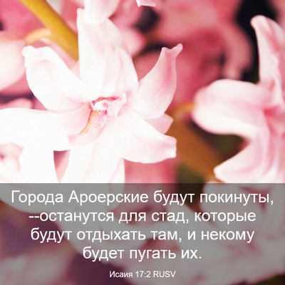 Picture 03 - Исаия 17:2 RUSV - Города Ароерские будут - Bible Verse Picture