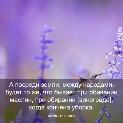 Picture 03 - Исаия 24:13 RUSV - А посреди земли, между - Bible Verse Picture