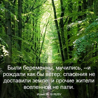 Picture 03 - Исаия 26:18 RUSV - Были беременны, мучились, - Bible Verse Picture