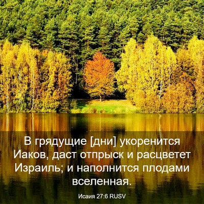 Picture 03 - Исаия 27:6 RUSV - В грядущие [дни] укоренится - Bible Verse Picture