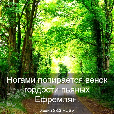 Picture 03 - Исаия 28:3 RUSV - Ногами попирается венок - Bible Verse Picture