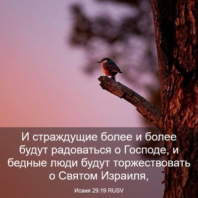 Picture 03 - Исаия 29:19 RUSV - И страждущие более и более - Bible Verse Picture