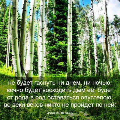 Picture 03 - Исаия 34:10 RUSV - не будет гаснуть ни днем, - Bible Verse Picture
