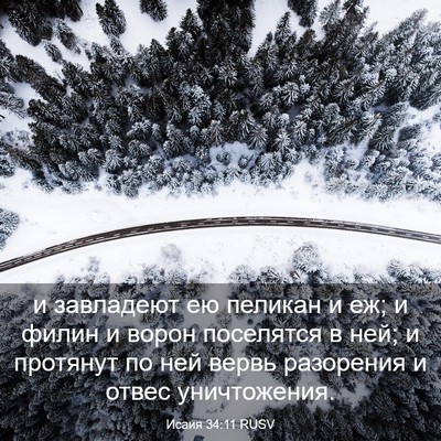 Picture 03 - Исаия 34:11 RUSV - и завладеют ею пеликан и - Bible Verse Picture