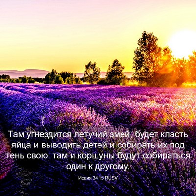 Picture 03 - Исаия 34:15 RUSV - Там угнездится летучий - Bible Verse Picture