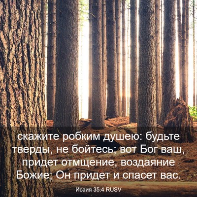 Picture 03 - Исаия 35:4 RUSV - скажите робким душею: - Bible Verse Picture