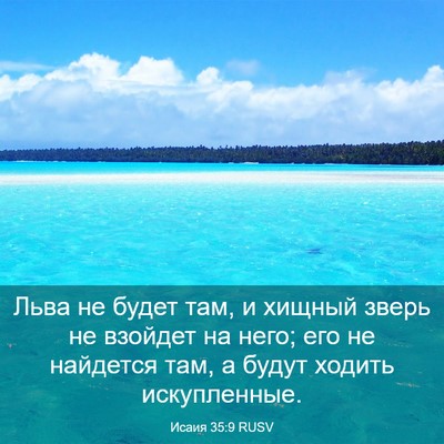 Picture 03 - Исаия 35:9 RUSV - Льва не будет там, и хищный - Bible Verse Picture
