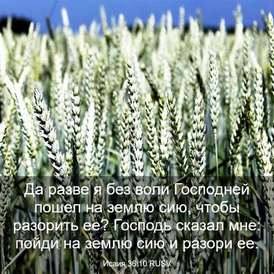 Picture 03 - Исаия 36:10 RUSV - Да разве я без воли - Bible Verse Picture