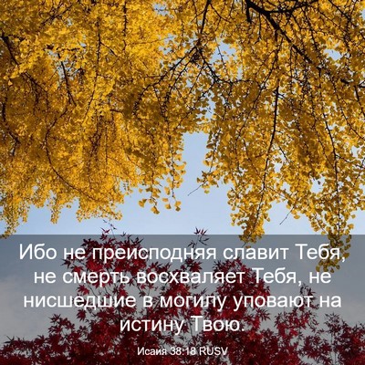 Picture 03 - Исаия 38:18 RUSV - Ибо не преисподняя славит - Bible Verse Picture