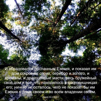 Picture 03 - Исаия 39:2 RUSV - И обрадовался посланным - Bible Verse Picture