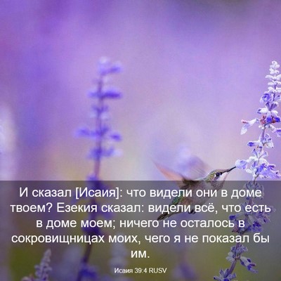 Picture 03 - Исаия 39:4 RUSV - И сказал [Исаия]: что видели - Bible Verse Picture