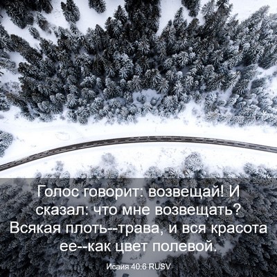 Picture 03 - Исаия 40:6 RUSV - Голос говорит: возвещай! И - Bible Verse Picture