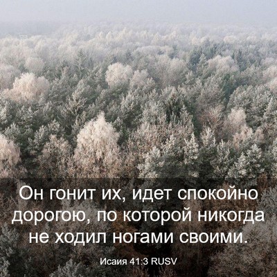 Picture 03 - Исаия 41:3 RUSV - Он гонит их, идет спокойно - Bible Verse Picture