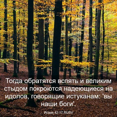 Picture 03 - Исаия 42:17 RUSV - Тогда обратятся вспять и - Bible Verse Picture