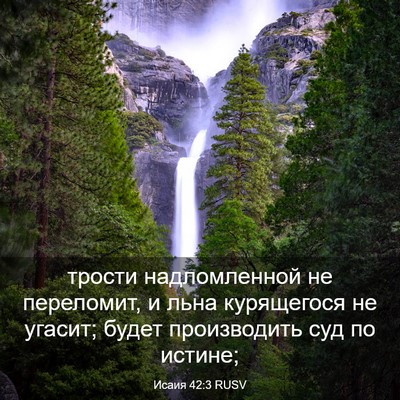 Picture 03 - Исаия 42:3 RUSV - трости надломленной не - Bible Verse Picture