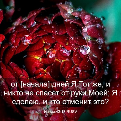Picture 03 - Исаия 43:13 RUSV - от [начала] дней Я Тот же, и - Bible Verse Picture