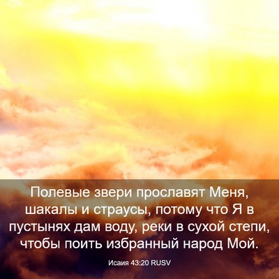 Picture 03 - Исаия 43:20 RUSV - Полевые звери прославят - Bible Verse Picture
