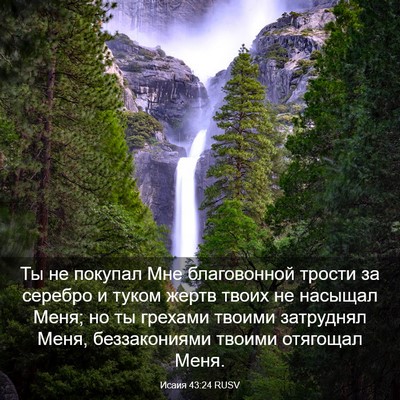 Picture 03 - Исаия 43:24 RUSV - Ты не покупал Мне - Bible Verse Picture