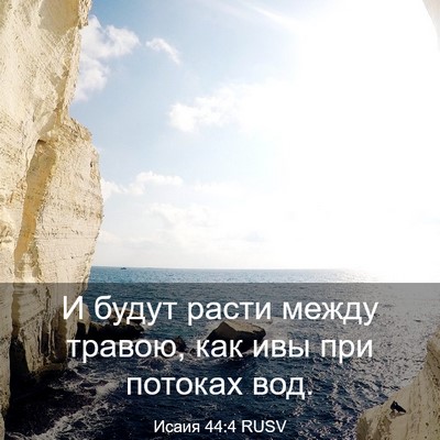 Picture 03 - Исаия 44:4 RUSV - И будут расти между травою, - Bible Verse Picture