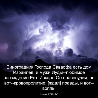 Picture 03 - Исаия 5:7 RUSV - Виноградник Господа - Bible Verse Picture