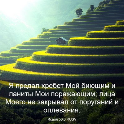 Picture 03 - Исаия 50:6 RUSV - Я предал хребет Мой биющим - Bible Verse Picture