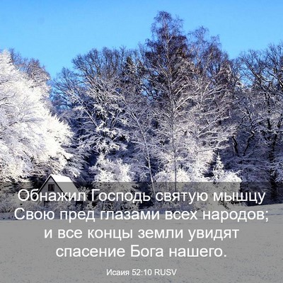Picture 03 - Исаия 52:10 RUSV - Обнажил Господь святую - Bible Verse Picture