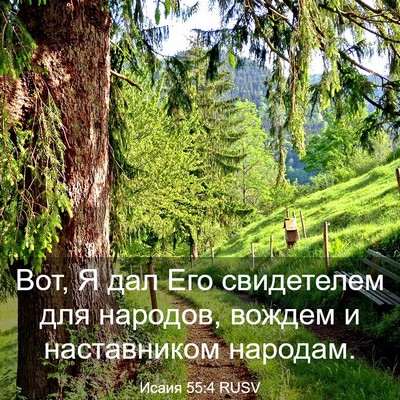 Picture 03 - Исаия 55:4 RUSV - Вот, Я дал Его свидетелем - Bible Verse Picture