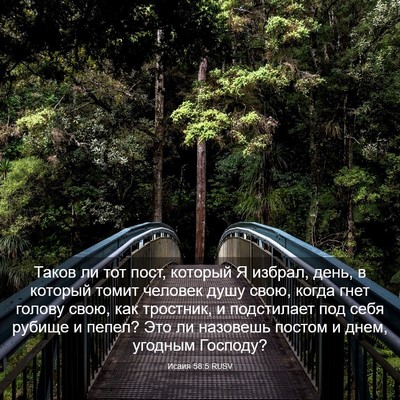 Picture 03 - Исаия 58:5 RUSV - Таков ли тот пост, который - Bible Verse Picture