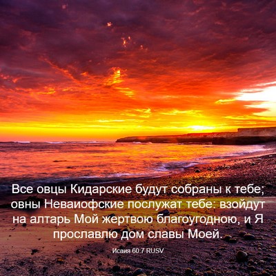 Picture 03 - Исаия 60:7 RUSV - Все овцы Кидарские будут - Bible Verse Picture