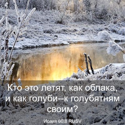 Picture 03 - Исаия 60:8 RUSV - Кто это летят, как облака, и - Bible Verse Picture