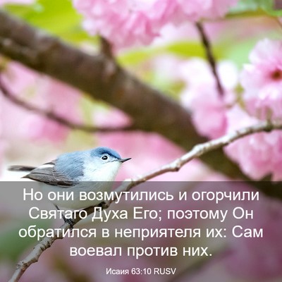 Picture 03 - Исаия 63:10 RUSV - Но они возмутились и - Bible Verse Picture