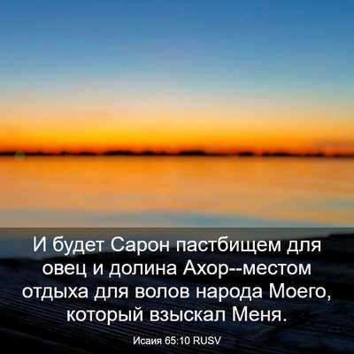 Picture 03 - Исаия 65:10 RUSV - И будет Сарон пастбищем - Bible Verse Picture