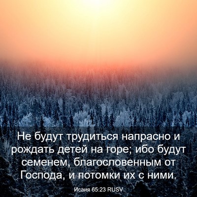 Picture 03 - Исаия 65:23 RUSV - Не будут трудиться - Bible Verse Picture