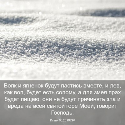 Picture 03 - Исаия 65:25 RUSV - Волк и ягненок будут - Bible Verse Picture