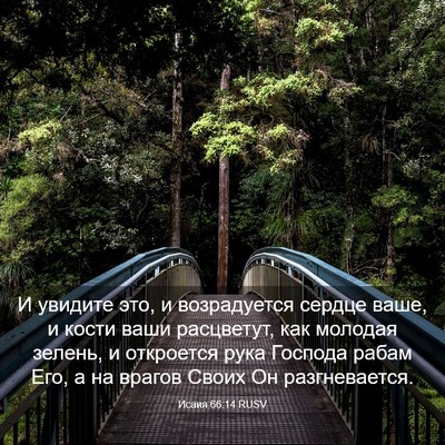 Picture 03 - Исаия 66:14 RUSV - И увидите это, и - Bible Verse Picture