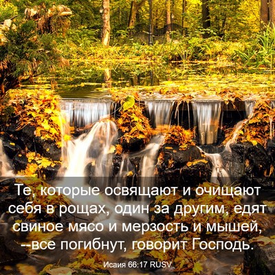 Picture 03 - Исаия 66:17 RUSV - Те, которые освящают и - Bible Verse Picture