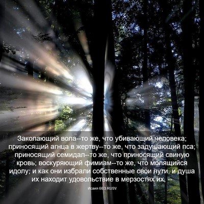 Picture 03 - Исаия 66:3 RUSV - Заколающий вола--то же, что - Bible Verse Picture