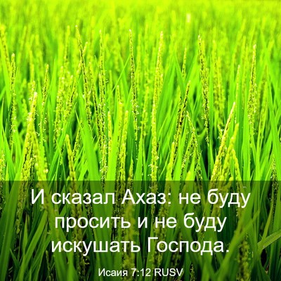 Picture 03 - Исаия 7:12 RUSV - И сказал Ахаз: не буду - Bible Verse Picture