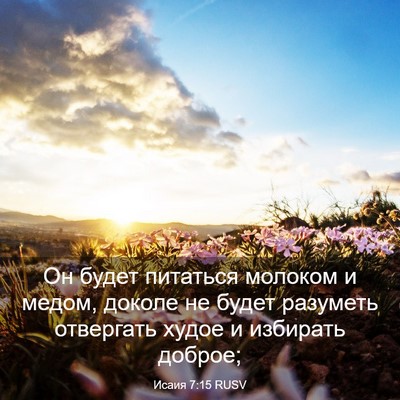 Picture 03 - Исаия 7:15 RUSV - Он будет питаться молоком - Bible Verse Picture