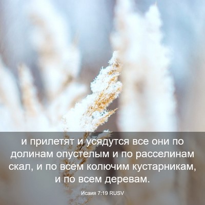 Picture 03 - Исаия 7:19 RUSV - и прилетят и усядутся все - Bible Verse Picture