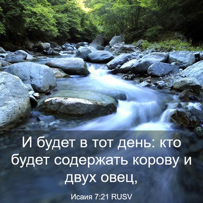 Picture 03 - Исаия 7:21 RUSV - И будет в тот день: кто - Bible Verse Picture