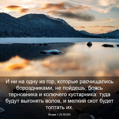 Picture 03 - Исаия 7:25 RUSV - И ни на одну из гор, которые - Bible Verse Picture