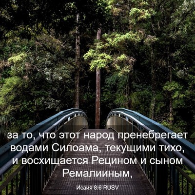Picture 03 - Исаия 8:6 RUSV - за то, что этот народ - Bible Verse Picture