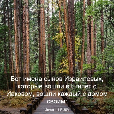 Picture 03 - Исход 1:1 RUSV - Вот имена сынов - Bible Verse Picture