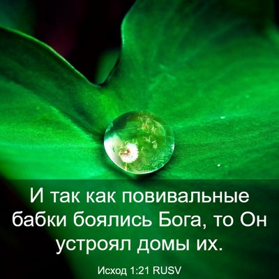 Picture 03 - Исход 1:21 RUSV - И так как повивальные - Bible Verse Picture
