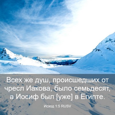 Picture 03 - Исход 1:5 RUSV - Всех же душ, происшедших от - Bible Verse Picture