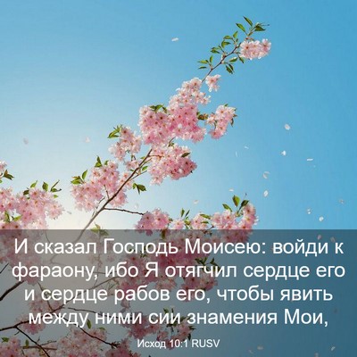 Picture 03 - Исход 10:1 RUSV - И сказал Господь Моисею: - Bible Verse Picture